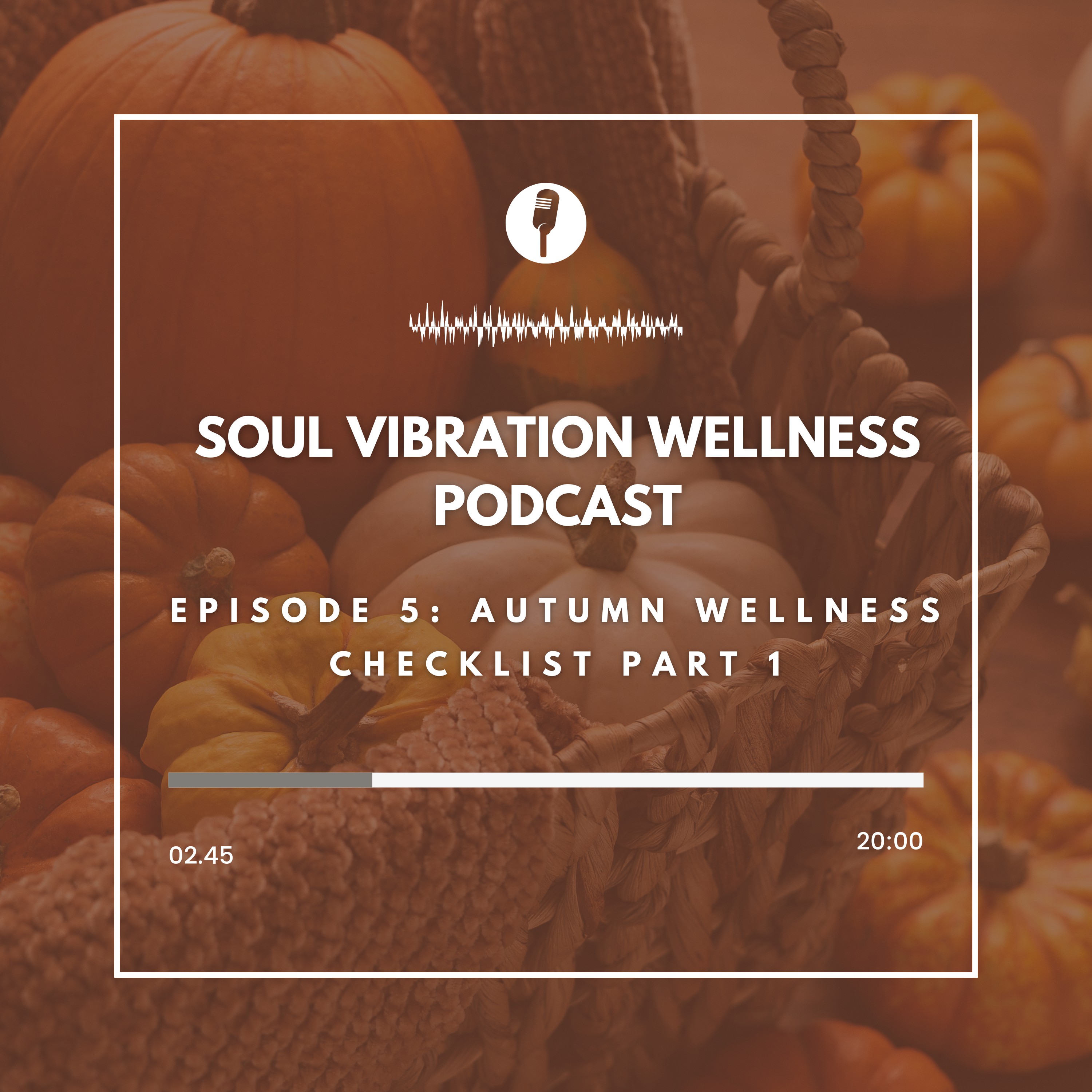 Soul Vibration Wellness Podcast