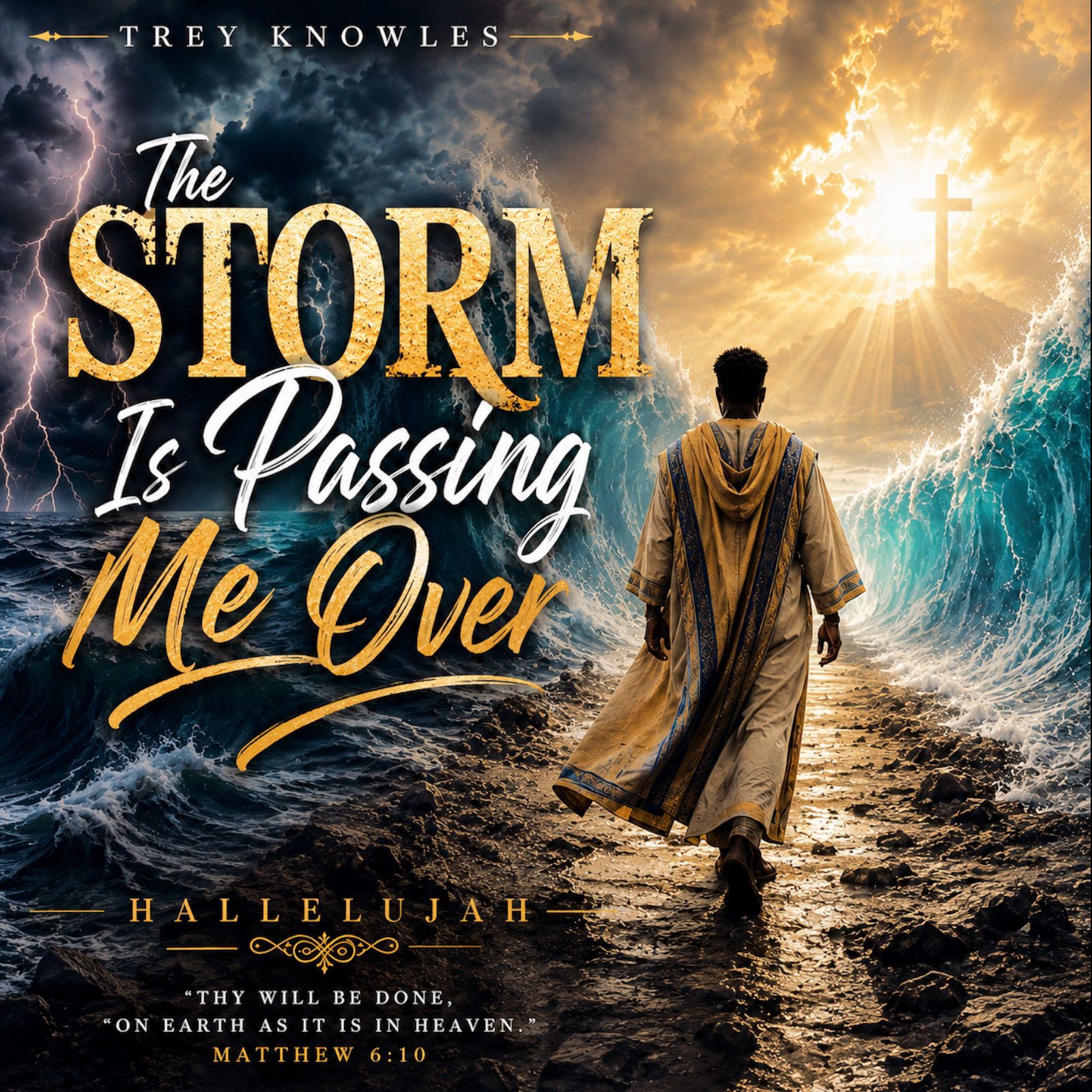 The Storm Is Passing Me Over episode artwork