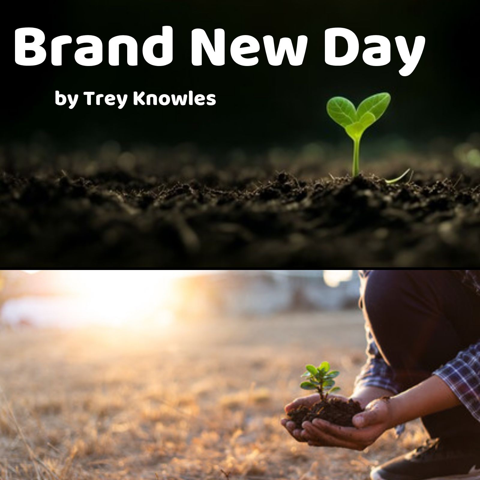 Trey Knowles Music