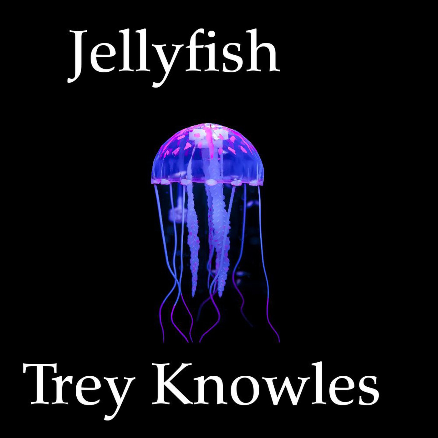Jellyfish