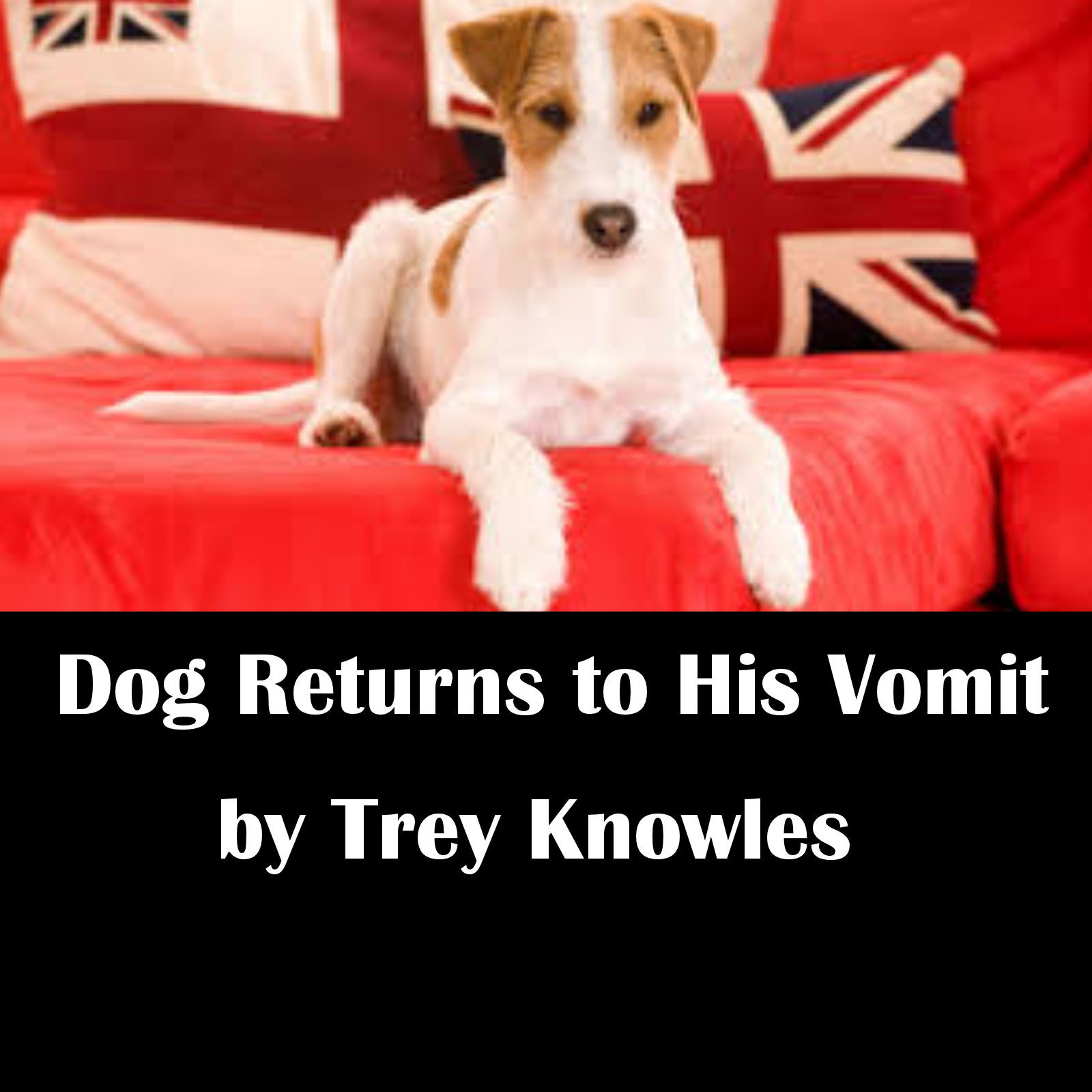 Dog Returns to His Vomit