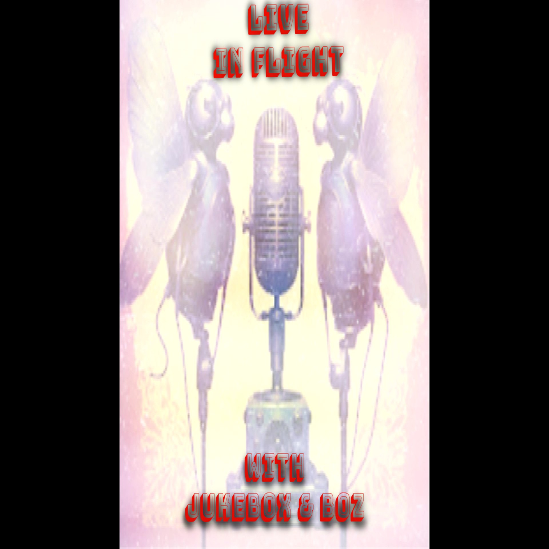 Garage Fly Radio