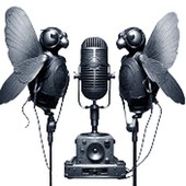 Garage Fly Radio