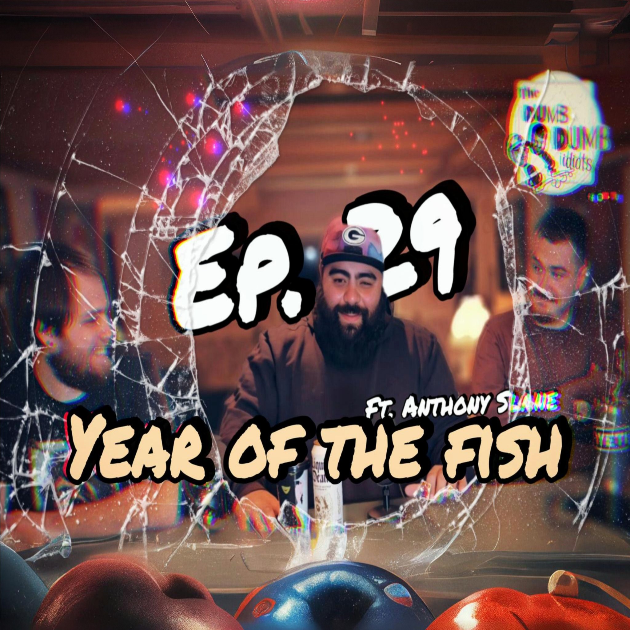 The Dumb Dumb Idiot Podcast