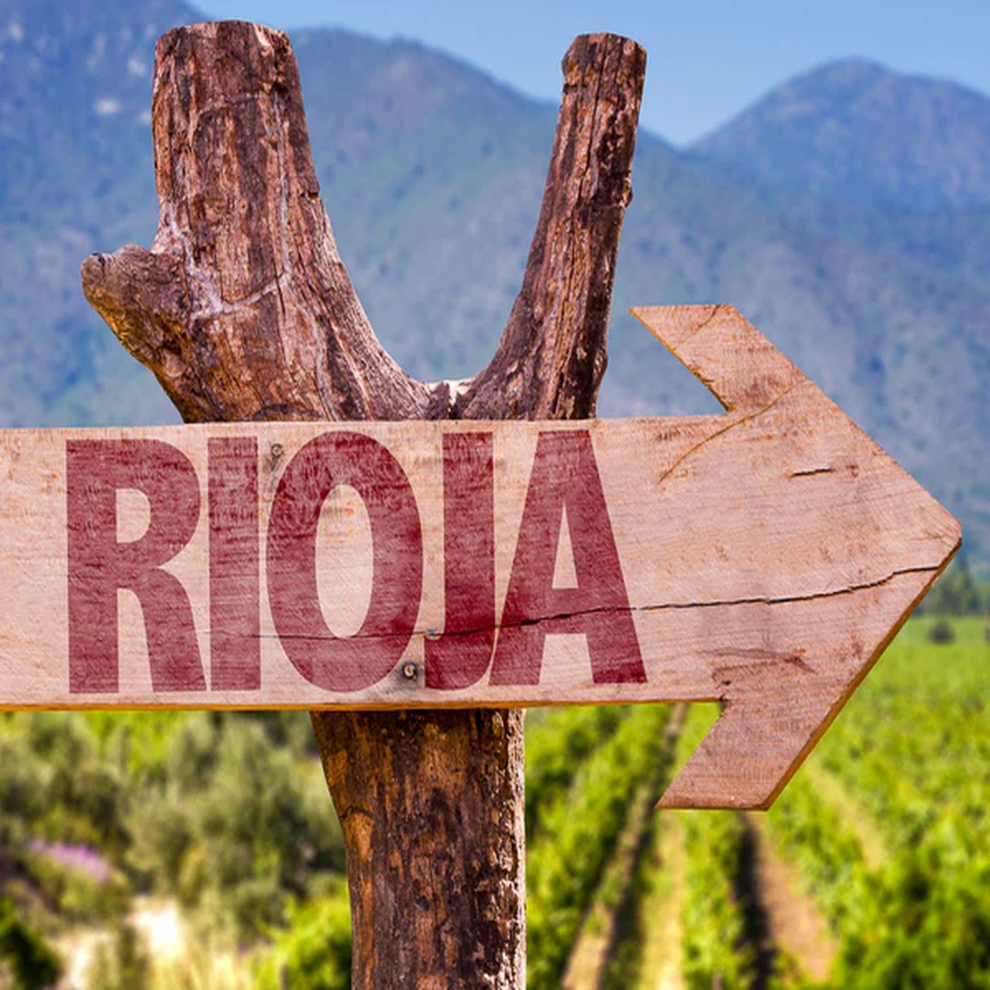 Rioja episode artwork