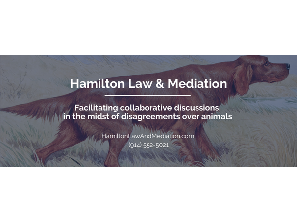 Animal Advocates Radio Podcast