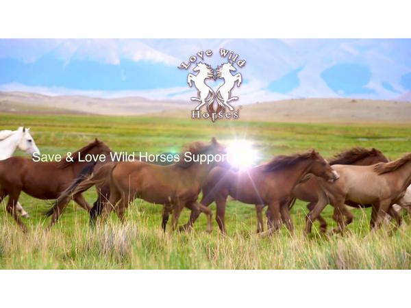 Animal Advocates Radio Podcast