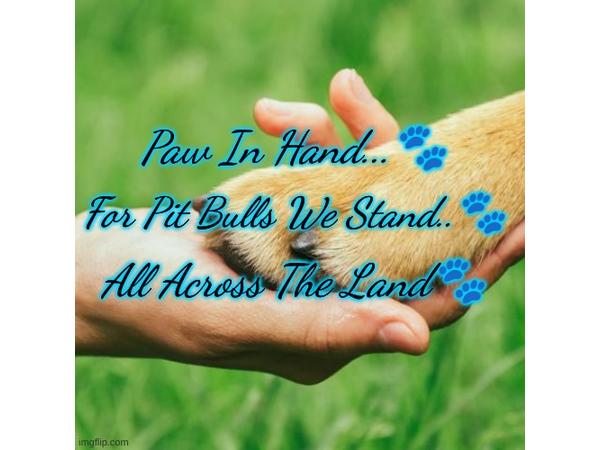 Animal Advocates Radio Podcast