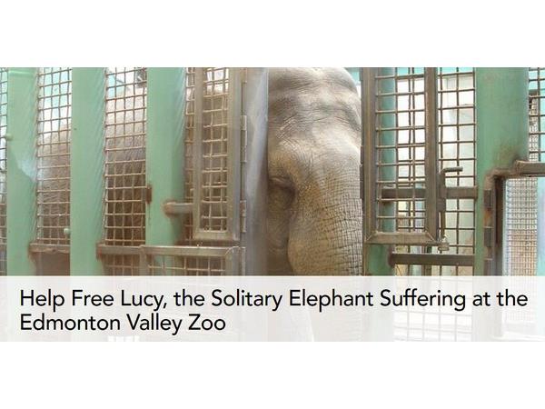 Animal Advocates Radio Podcast