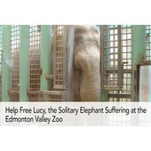 Animal Advocates Radio Podcast