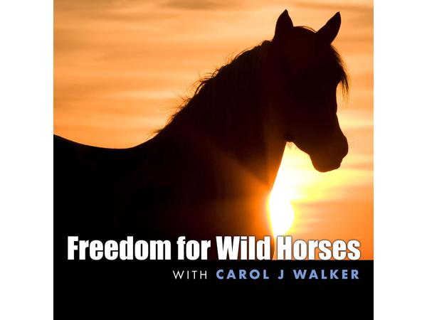 Animal Advocates Radio Podcast
