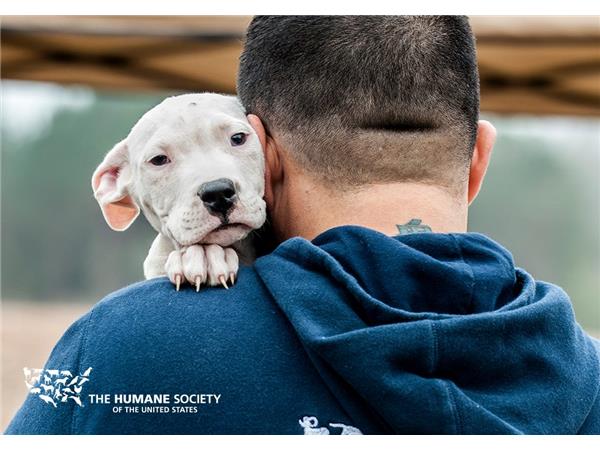 Animal Advocates Radio Podcast