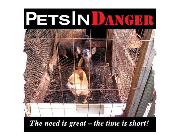Animal Advocates Radio Podcast