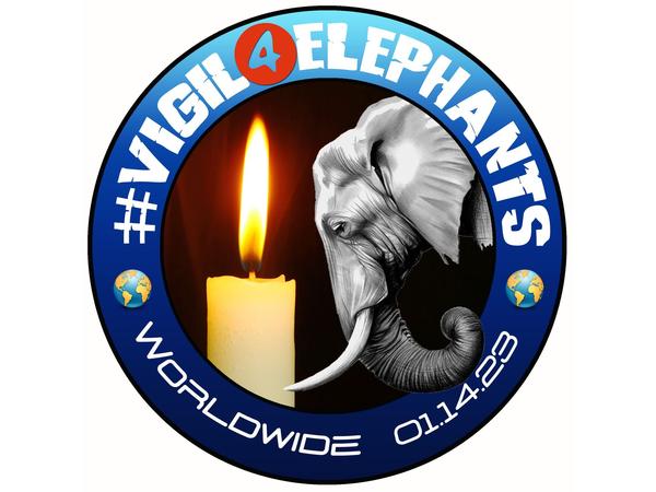 Animal Advocates Radio Podcast