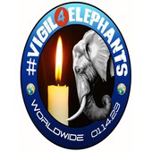 Animal Advocates Radio Podcast