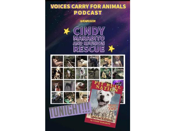 Animal Advocates Radio Podcast