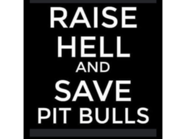 Animal Advocates Radio Podcast