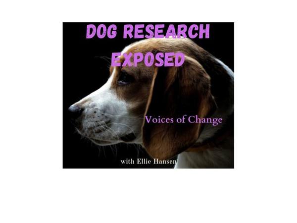 Animal Advocates Radio Podcast