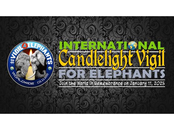 Animal Advocates Radio Podcast