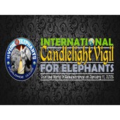 Animal Advocates Radio Podcast