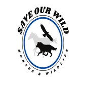 Animal Advocates Radio Podcast