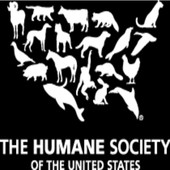 Animal Advocates Radio Podcast
