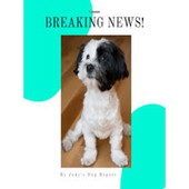 Animal Advocates Radio Podcast