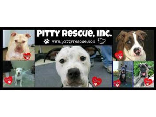 Animal Advocates Radio Podcast