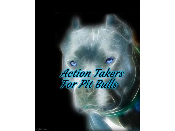 Animal Advocates Radio Podcast