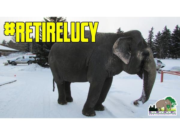 Animal Advocates Radio Podcast