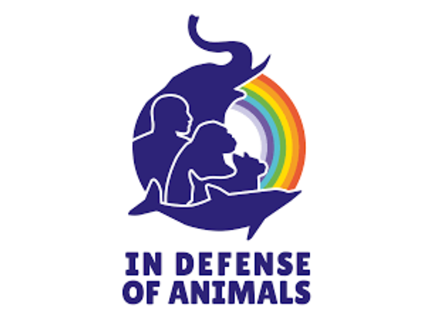 Animal Advocates Radio Podcast