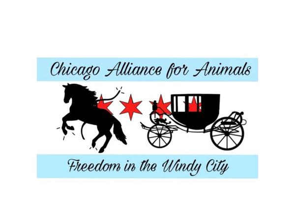 Animal Advocates Radio Podcast