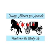 Animal Advocates Radio Podcast