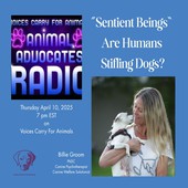 Animal Advocates Radio Podcast