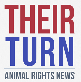 ”Voices Carry For Animals Podcast #515” - TheirTurn.net