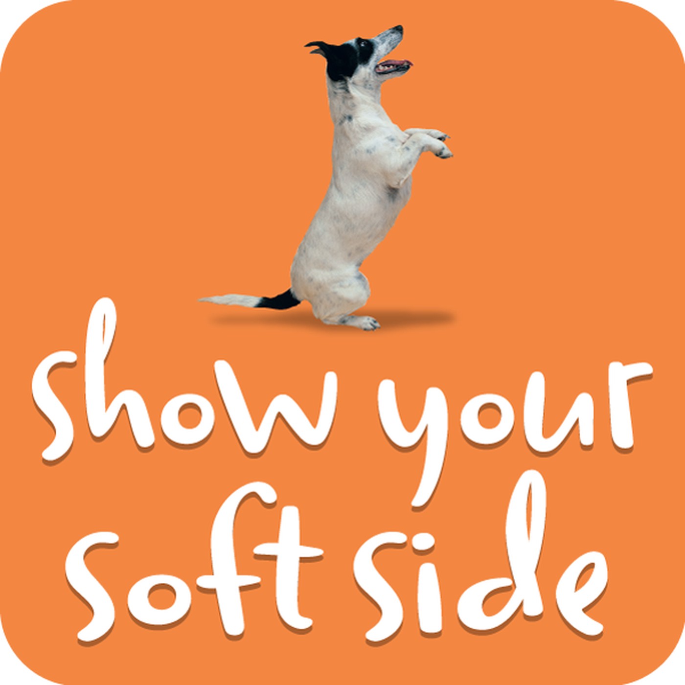 Episode Logo