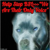 Animal Advocates Radio Podcast