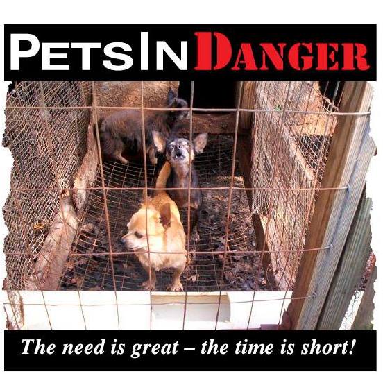 ”Voices Carry For Animals Podcast” #491 - PetsinDanger