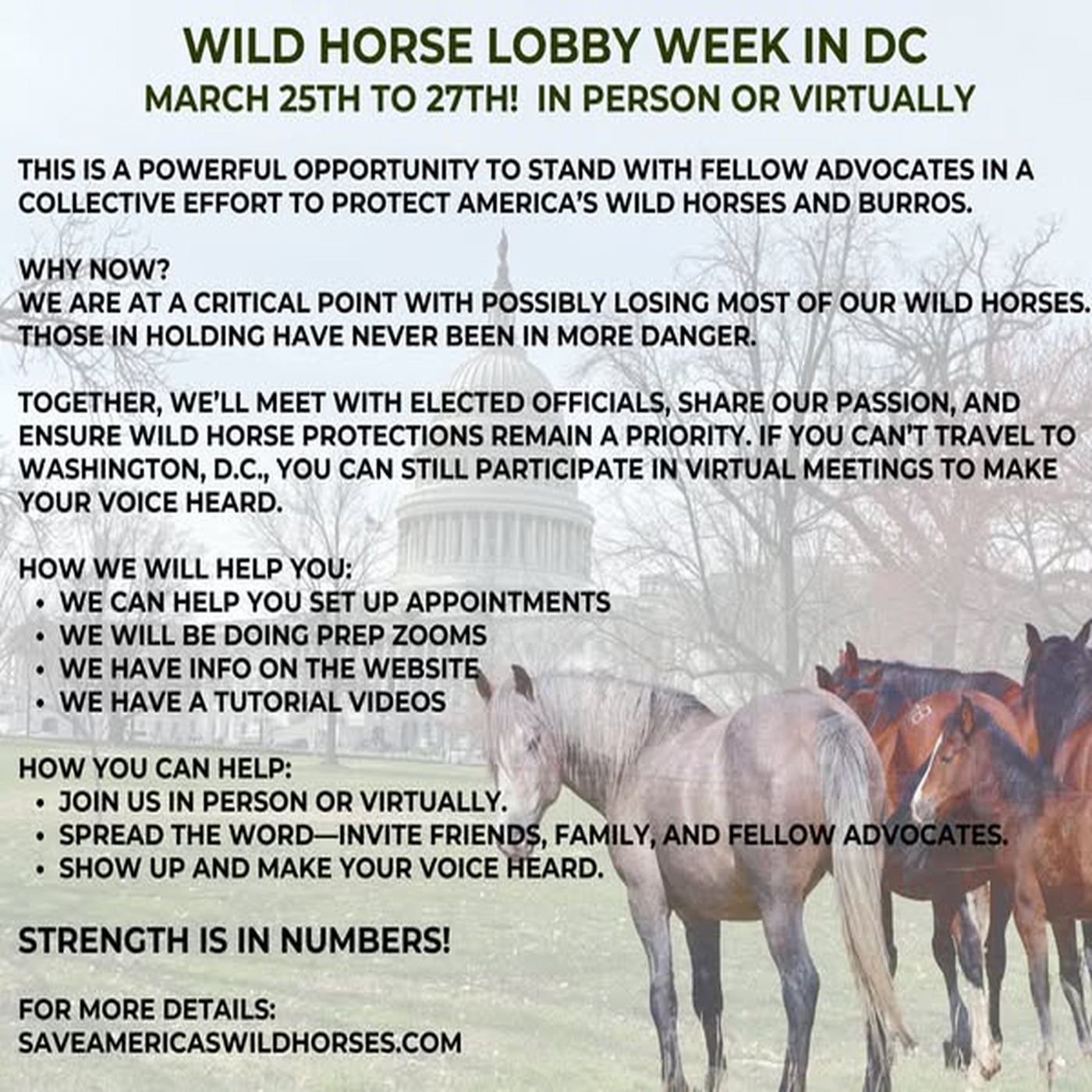 "Voices Carry For Animals #471" Wild Horse Conference in DC 2025