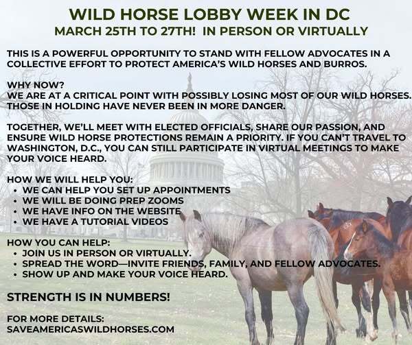 Animal Advocates Radio Podcast