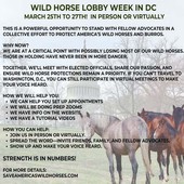 Animal Advocates Radio Podcast