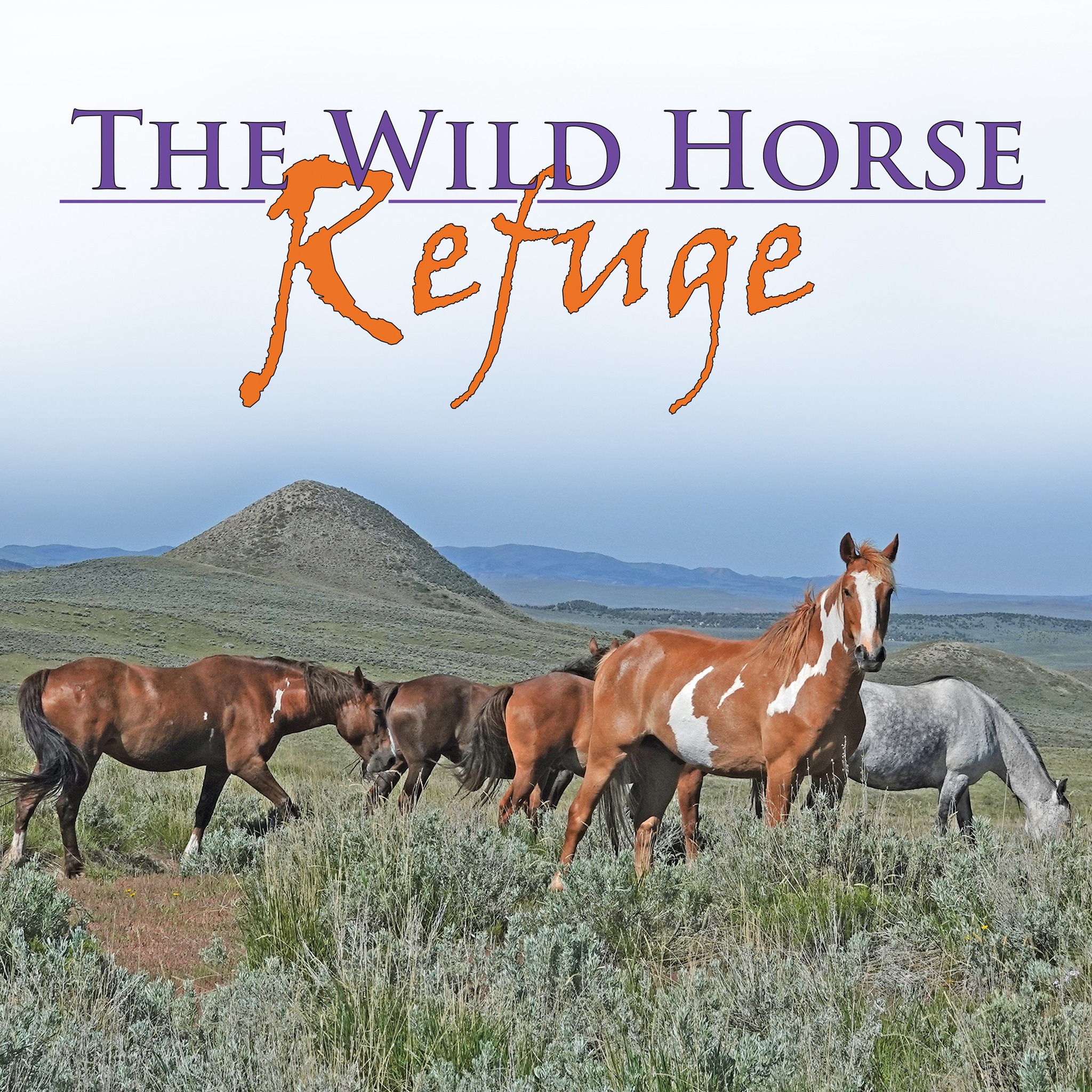 Animal Advocates Radio Podcast