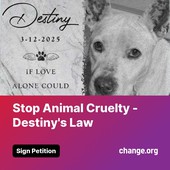 Animal Advocates Radio Podcast