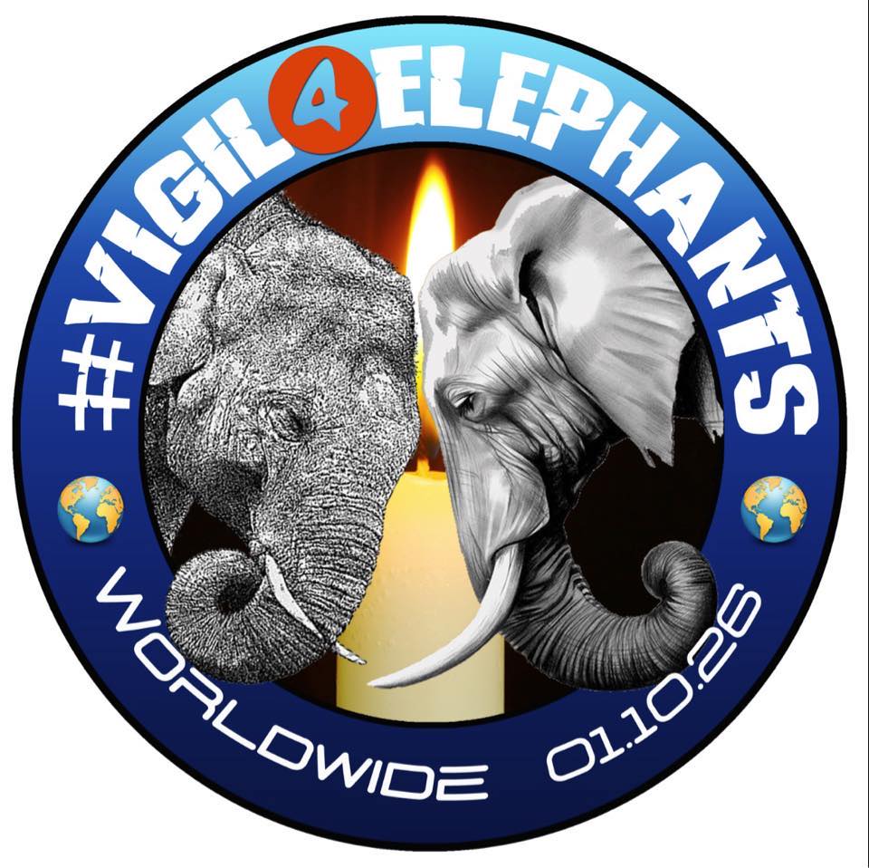 ”Voices Carry For Animals Podcast #509” - Vigil4Elephants