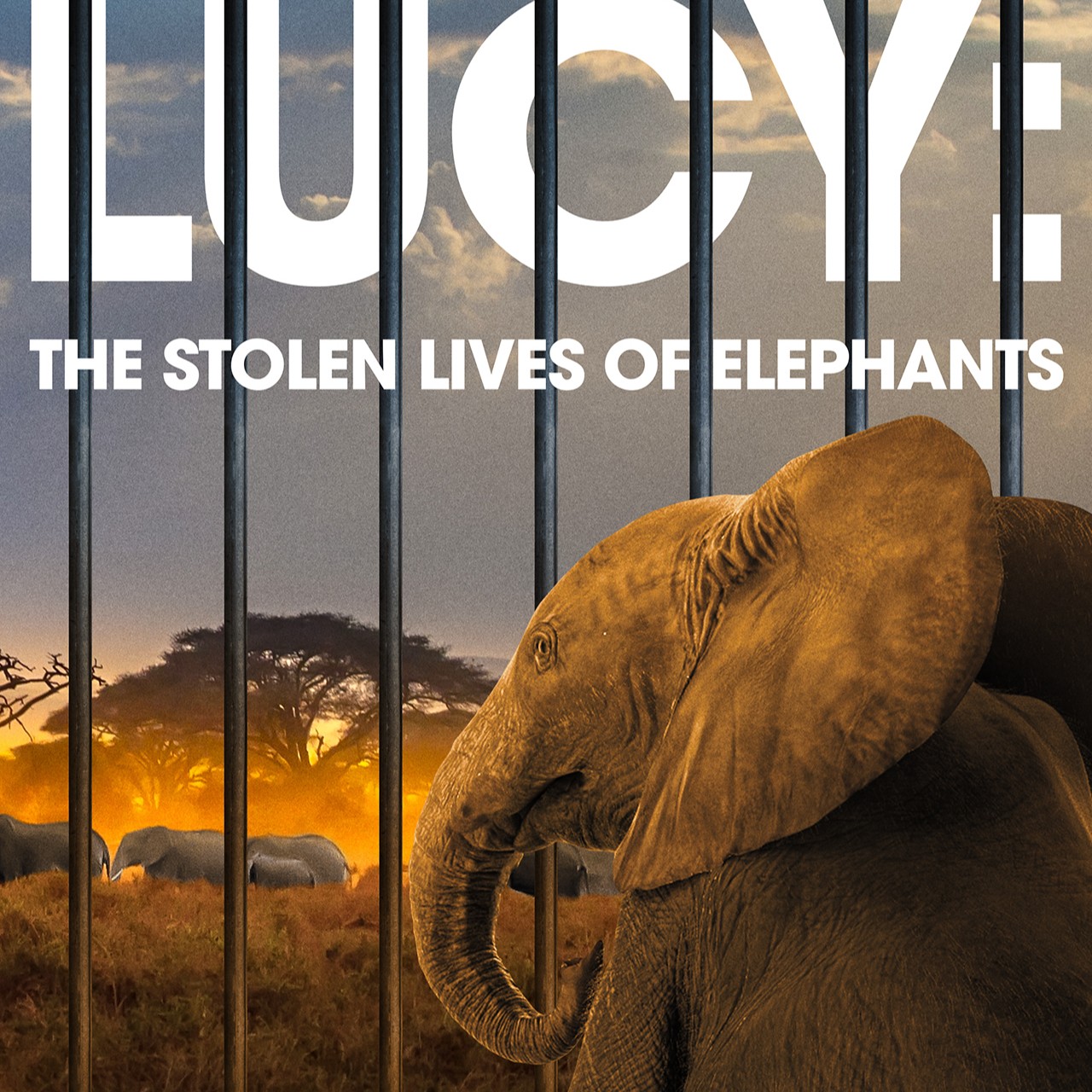 Animal Advocates Radio Podcast