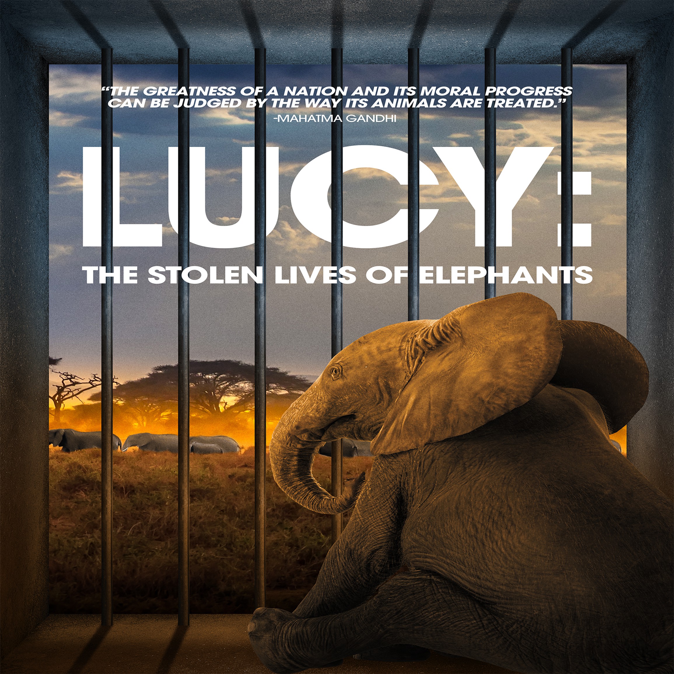 ”Voices Carry For Animals #477”- Lucy’s Documentary Released