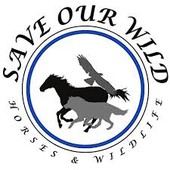 Animal Warrior Radio