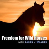 Animal Advocates Radio Podcast