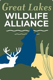 ”Voices Carry For Animals Podcast #511-Great Lakes Wildlife Alliance