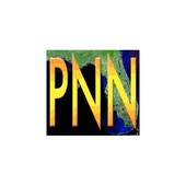 Progressive News Network
